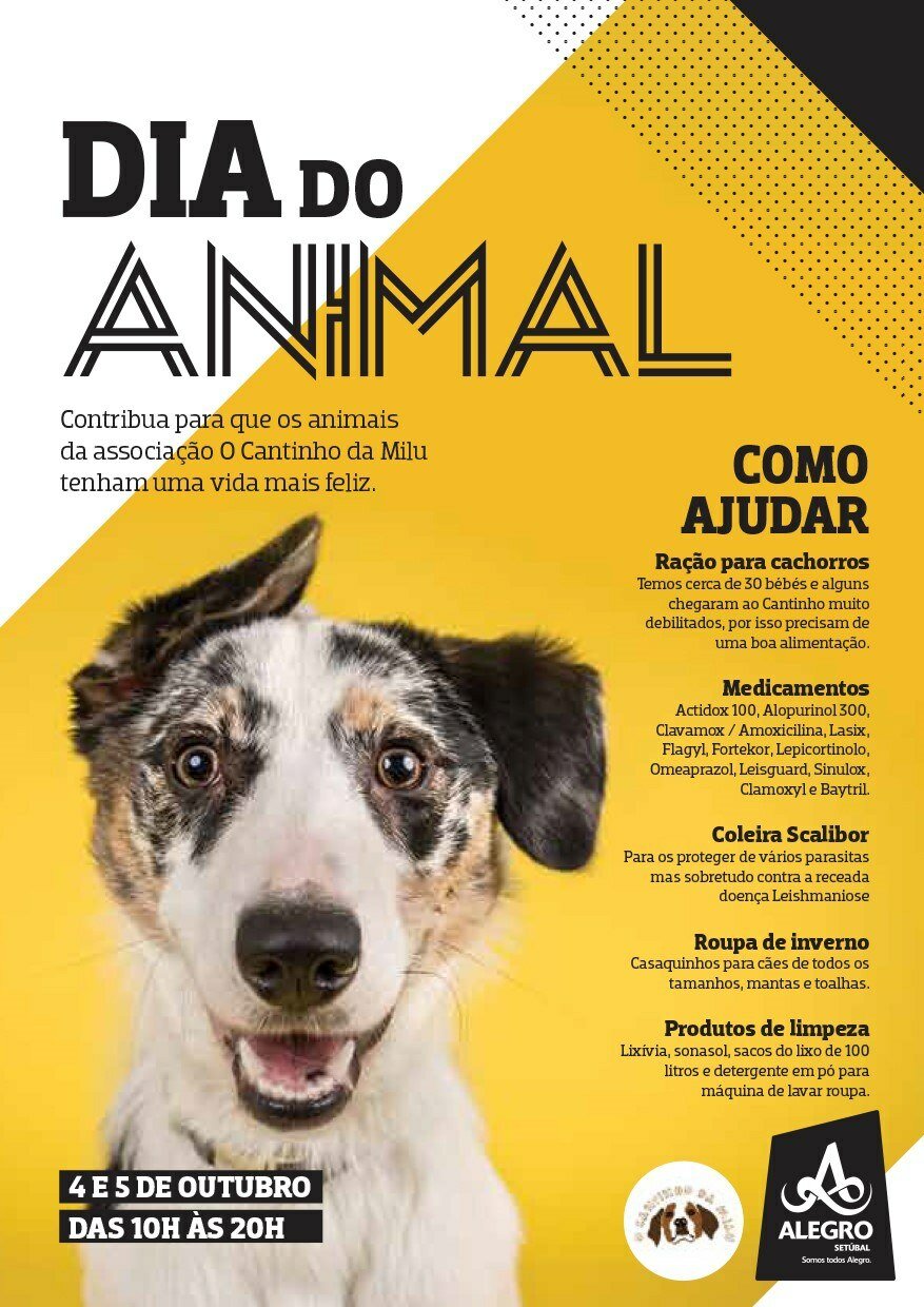 animal Alegro Setubal 1