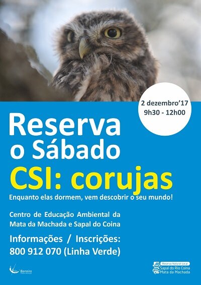 csi corujas