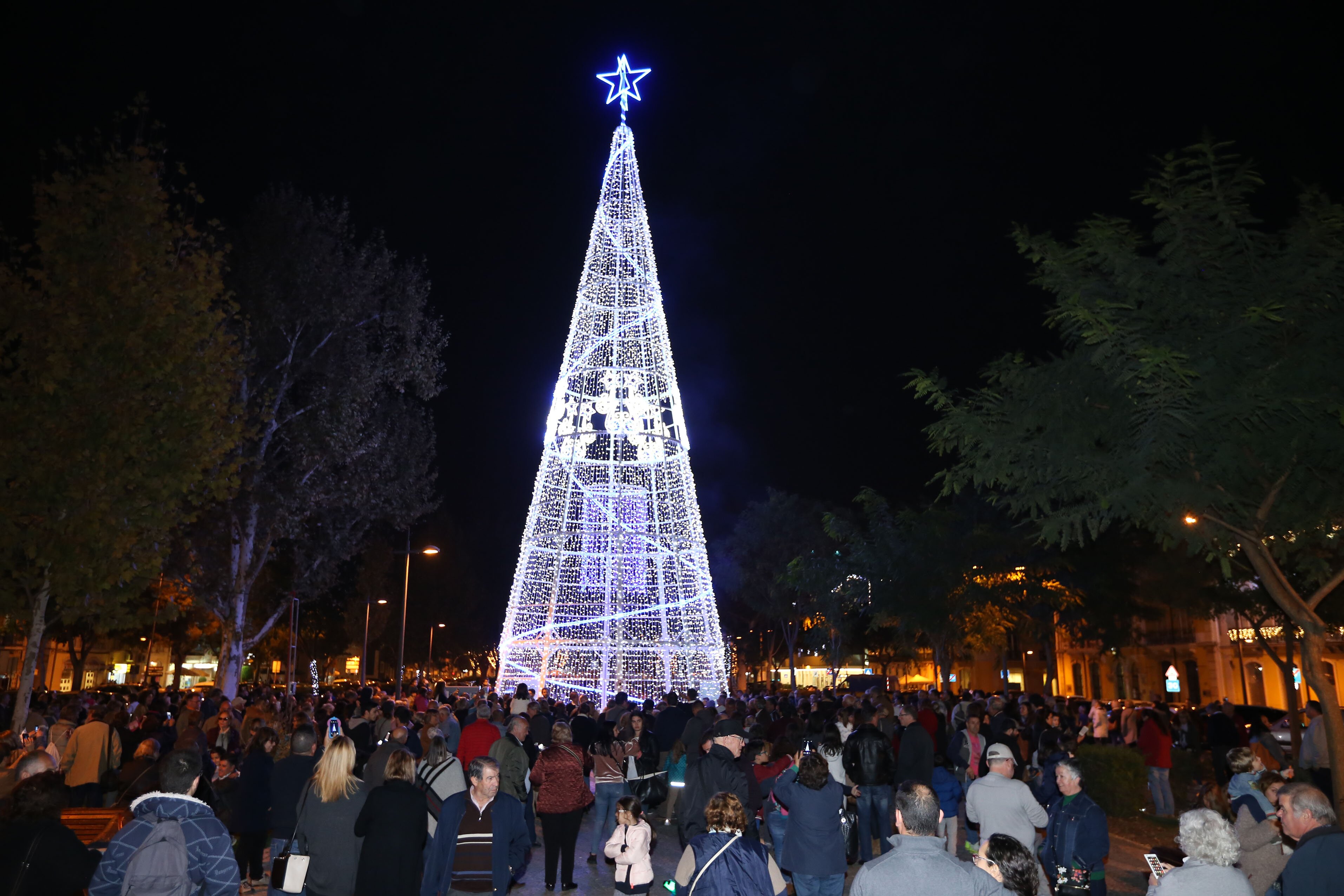 inauguracaoarvoregigante