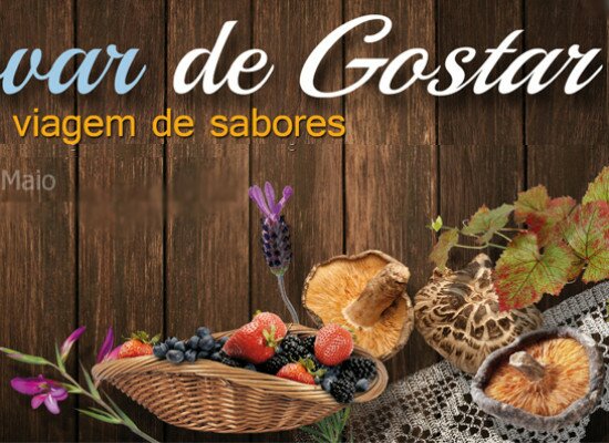 Rota Turística “Provar de Gostar” – Montijo