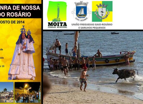 Festas do Rosário arrancam amanhã dia 14 – Moita