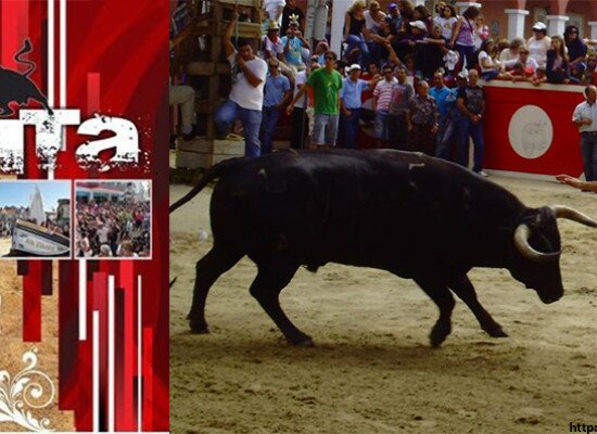 Depois de duas mortes no sábado, largada da moita fez hoje dois feridos