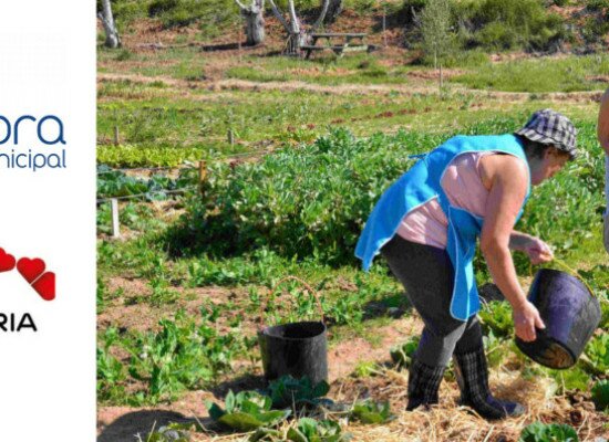 Hortas Solidárias da Quinta do Conde vão ter mais 35 talhões de terreno