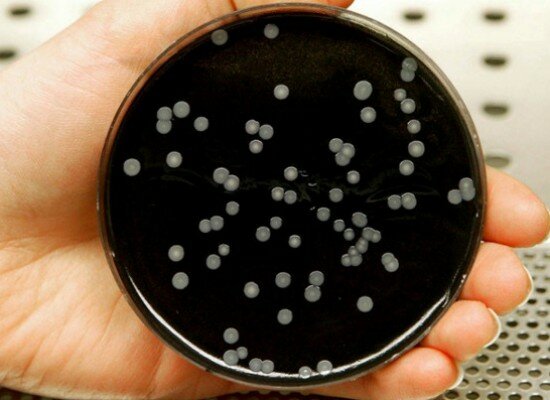 Fábrica de Sines pode reiniciar laboração depois de análises negativas à legionella