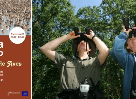 Aves são as protagonistas do primeiro “Reserva o Sábado” de 2015