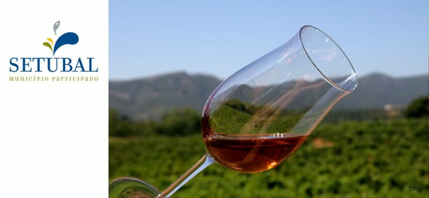 Dia do Moscatel: Setúbal ganha sabor a moscatel