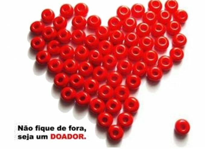 Seixal: Sessões de dádiva de sangue arrancam domingo