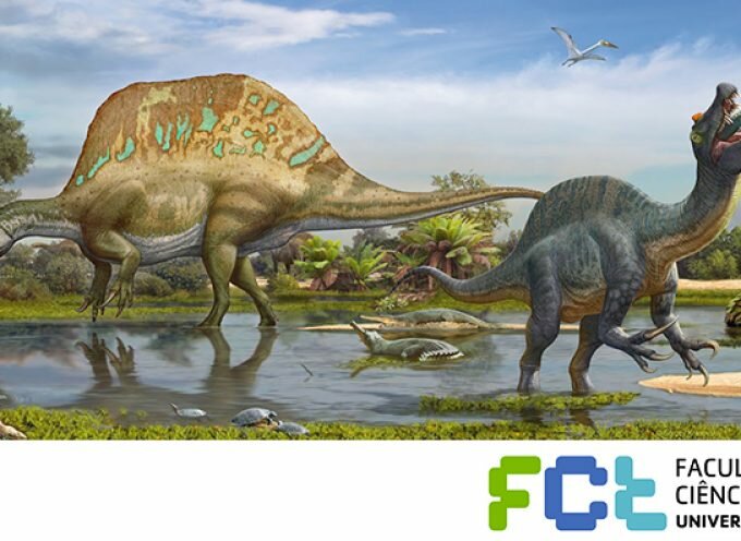 Estudo da FCT-NOVA confirma duas espécies de Espinossauros em Marrocos