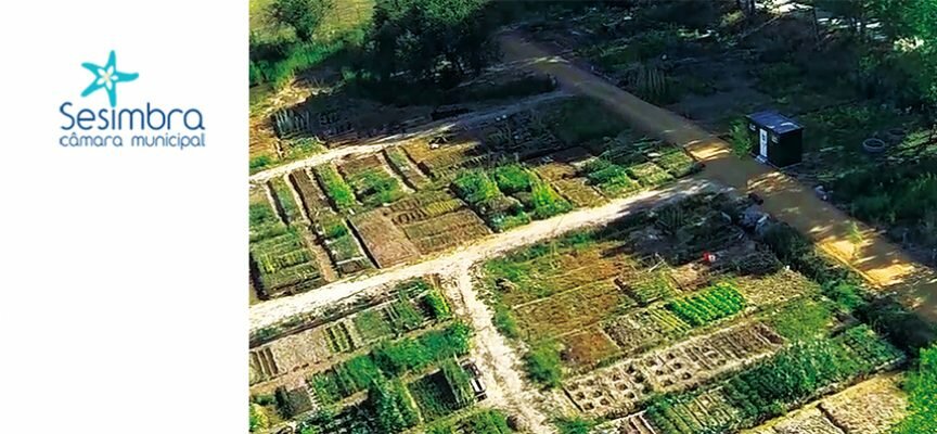 Abertas inscrições para o curso de Métodos de Propagação de Plantas