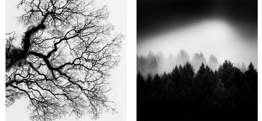 Mês da Fotografia 2016 – Conhecidos Vencedores do Concurso de Fotografia