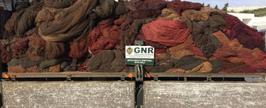 GNR recupera cerca de uma tonelada e meia de redes de pesca furtadas