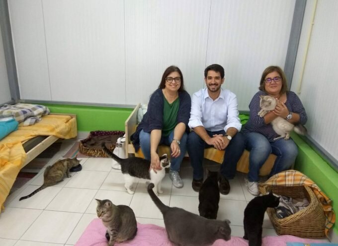 Candidatos do CDS à Câmara Municipal do Barreiro visitam SOS Bicharada