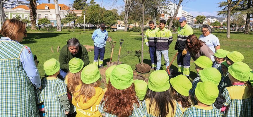 Dia Mundial da Floresta e da Árvore: plantação de árvores – Parque do Bonfim