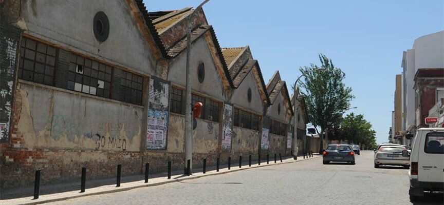 Abate de Árvores na Av. da República