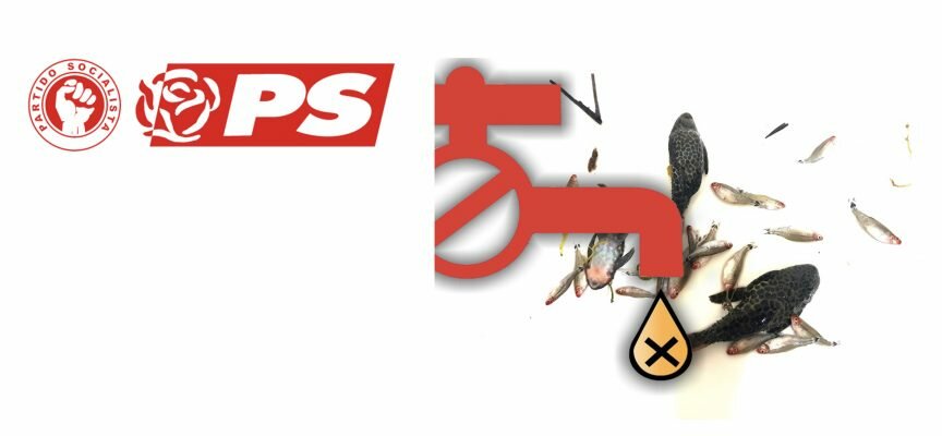 Queixas de excesso de Cloro e/ou Hipoclorito de Sódio, no concelho, em particular na freguesia de Alhos Vedros