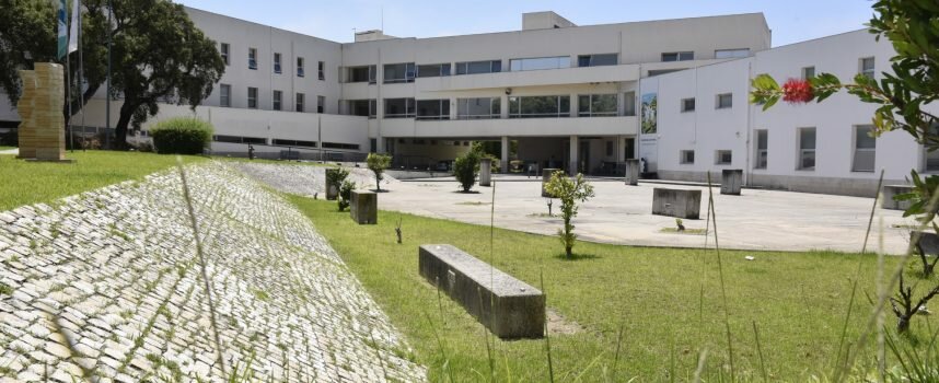 IPS vai formar quadros intermédios em Gestão Retalhista