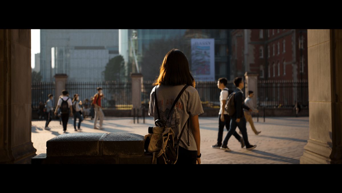 O ensino superior e o desafio da coesão territorial