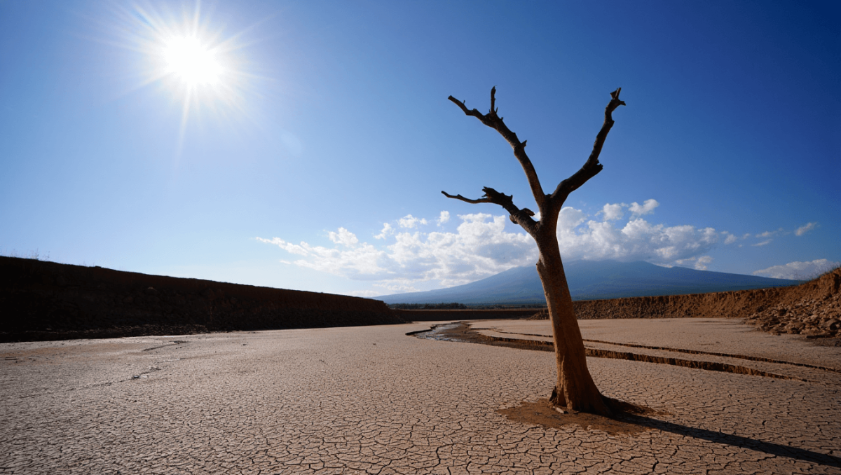 
    Relatório da ONU declara início da "era da falência global da água"          