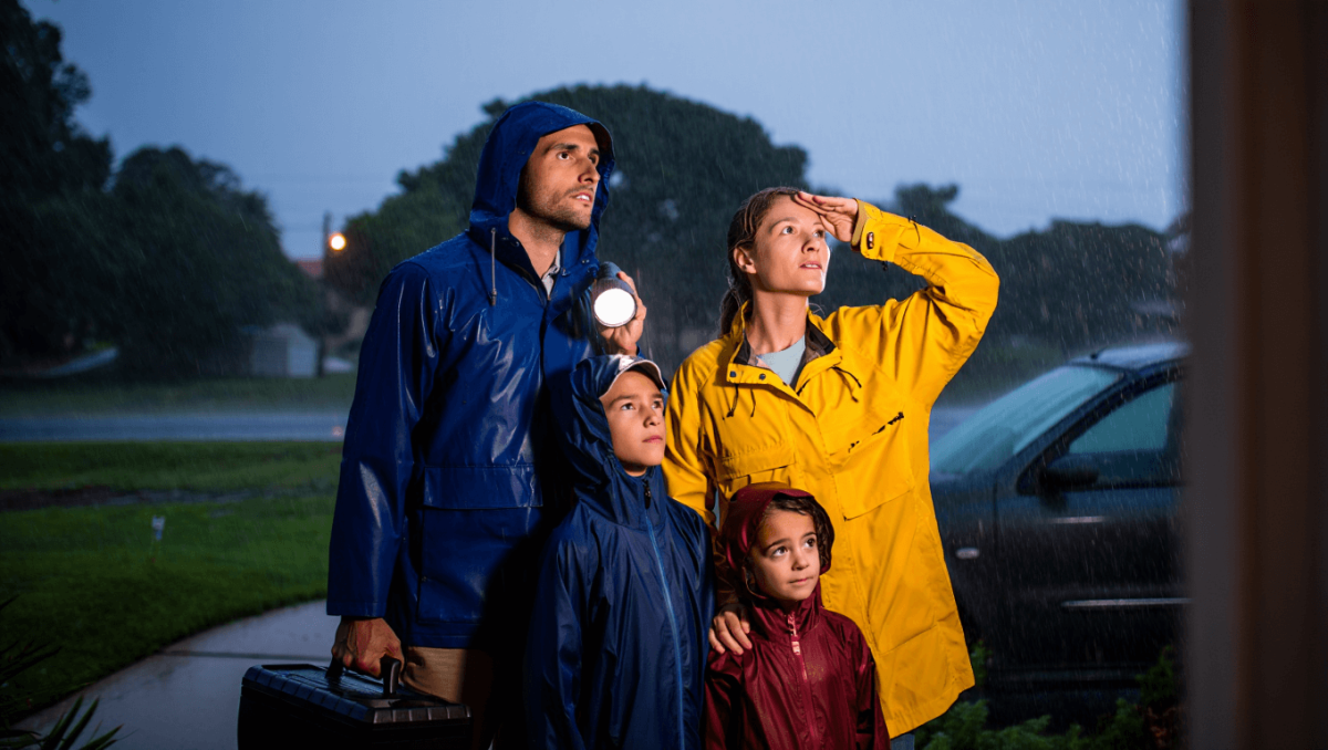 
                                O que fazer em caso de cheia: cuidados a ter em casa, na rua e no carro
                            