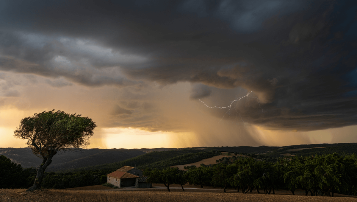 4h. IPMA. Quinze distritos sob aviso amarelo 