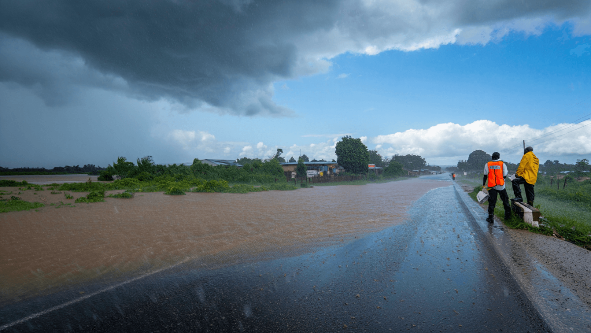 
    Cheias em Moçambique deixam 40% de Gaza submersa e já destruíram 152 quilómetros de estradas          