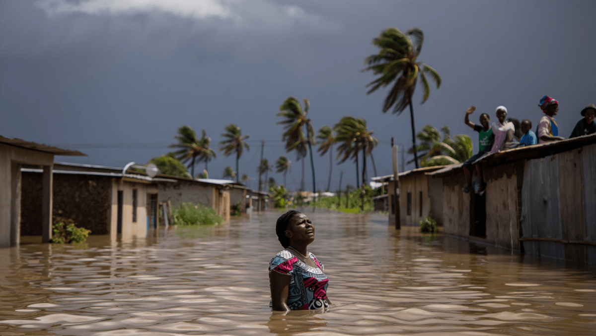 
    Mortes nas inundações em Moçambique resultam de "governação falhada"          