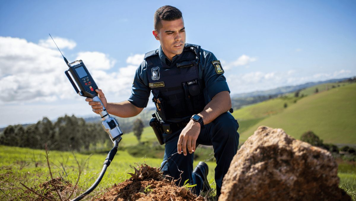 GNR realiza patrulhamento para deteção de venenos no Planalto Mirandês