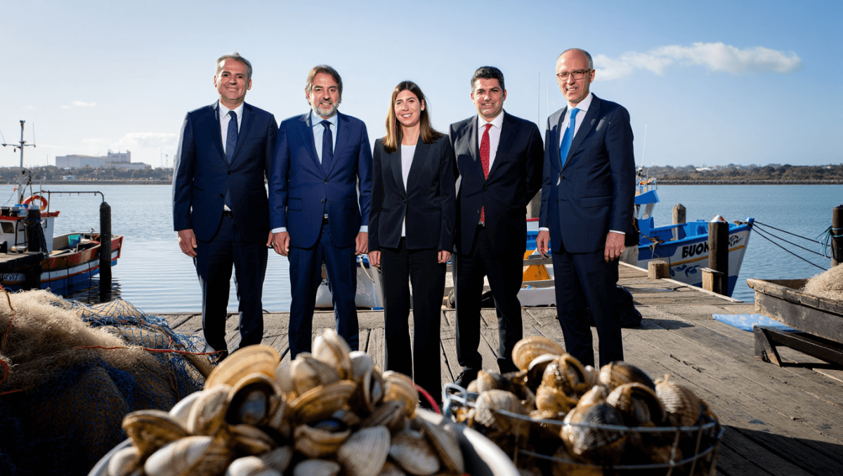 
    Deputados do PS por Setúbal querem estratégia para resolver apanha ilegal de bivalves no Tejo          