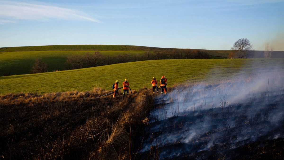 Fogo controlado no inverno ajuda a travar incêndios e renova pastagens