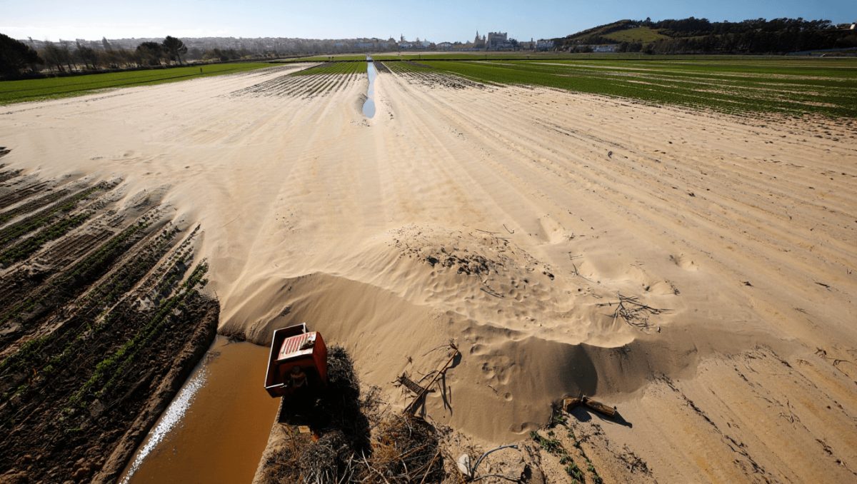 Câmara de Coimbra alerta para areia acumulada em campos após colapso do dique