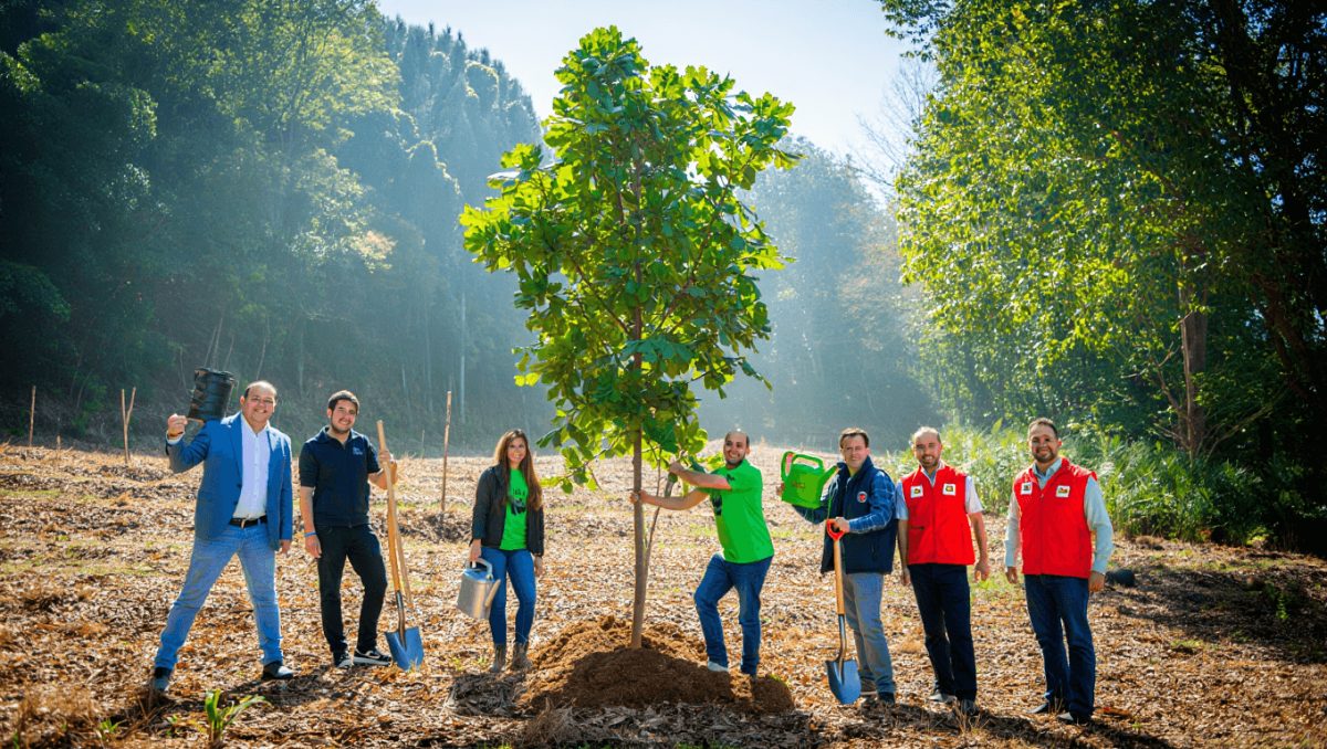Lidl une-se à WWF Portugal para restaurar a natureza no Gerês