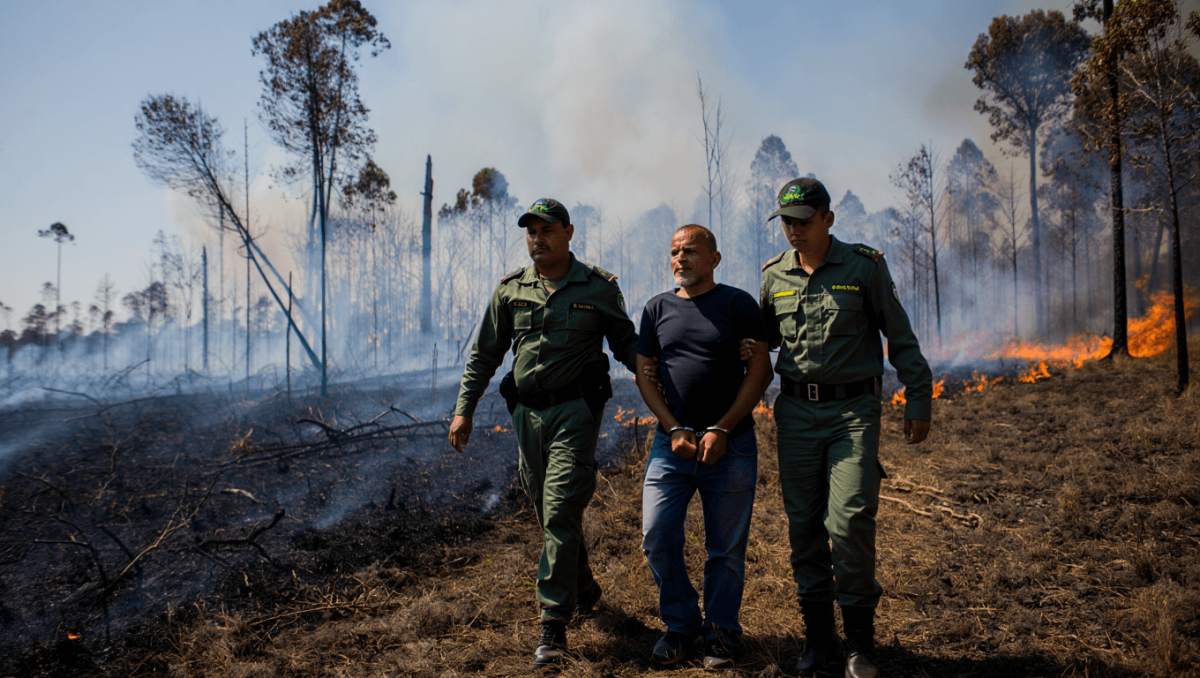 
                                GNR detém suspeito de incêndio florestal em Tarouca
                            