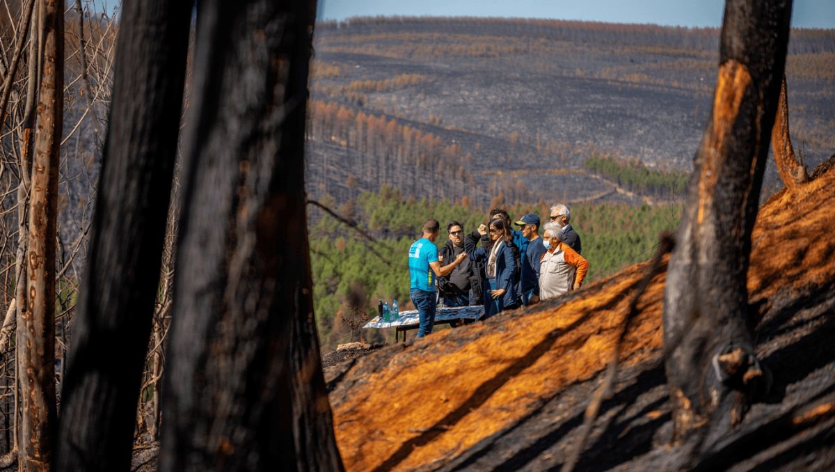 Plano de Revitalização do Parque Natural da Serra da Estrela continua sem financiamento