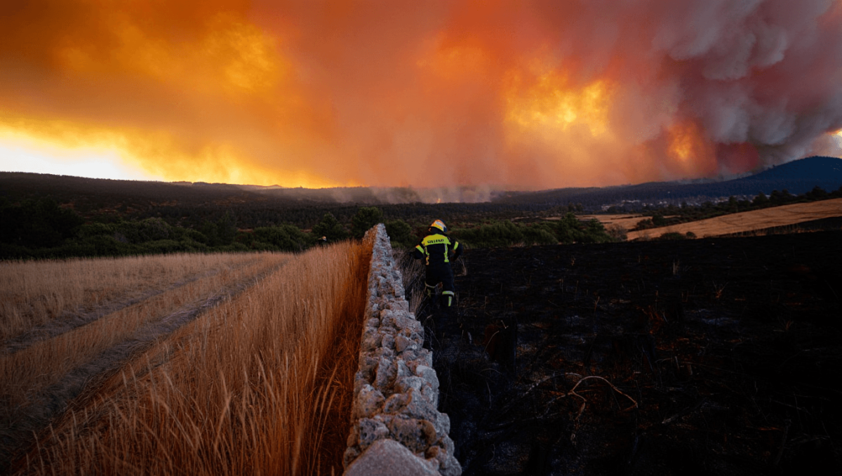 
    Concelhos de Tavira e Idanha-a-Nova em risco muito elevado de incêndio          