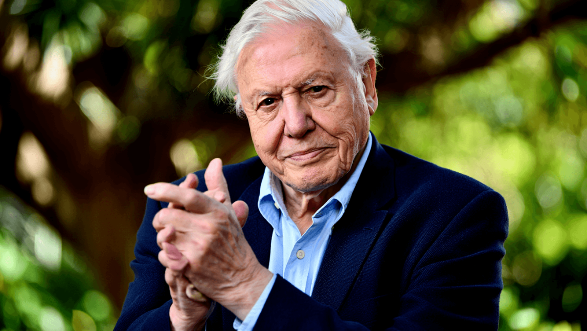 David Attenborough faz 100 anos. Saiba onde ver alguns dos documentários