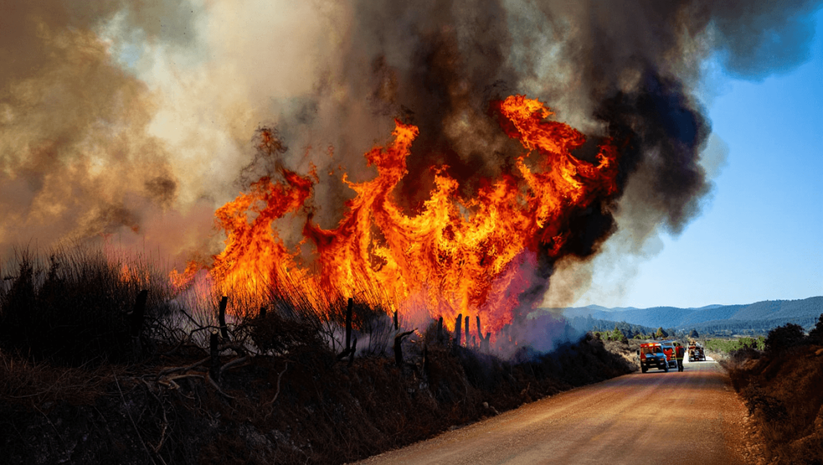 
    Sete distritos sob aviso amarelo devido ao calor: 23 concelhos em perigo máximo de incêndio          