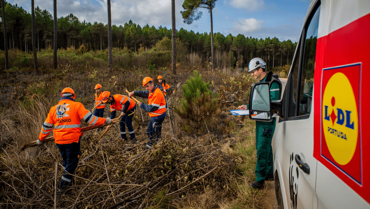 
    Projeto do Lidl e WWF reforça prevenção florestal          
