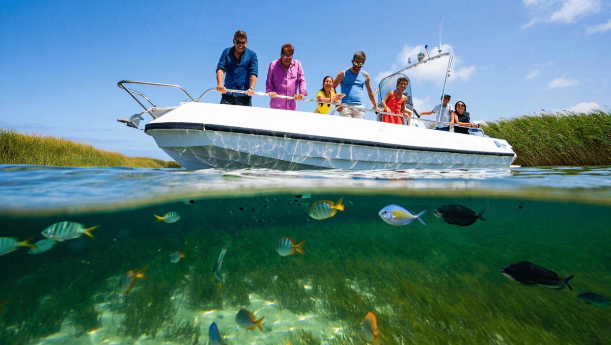 Ria Formosa ganha barco transparente: passeios mostram vida marinha ao vivo