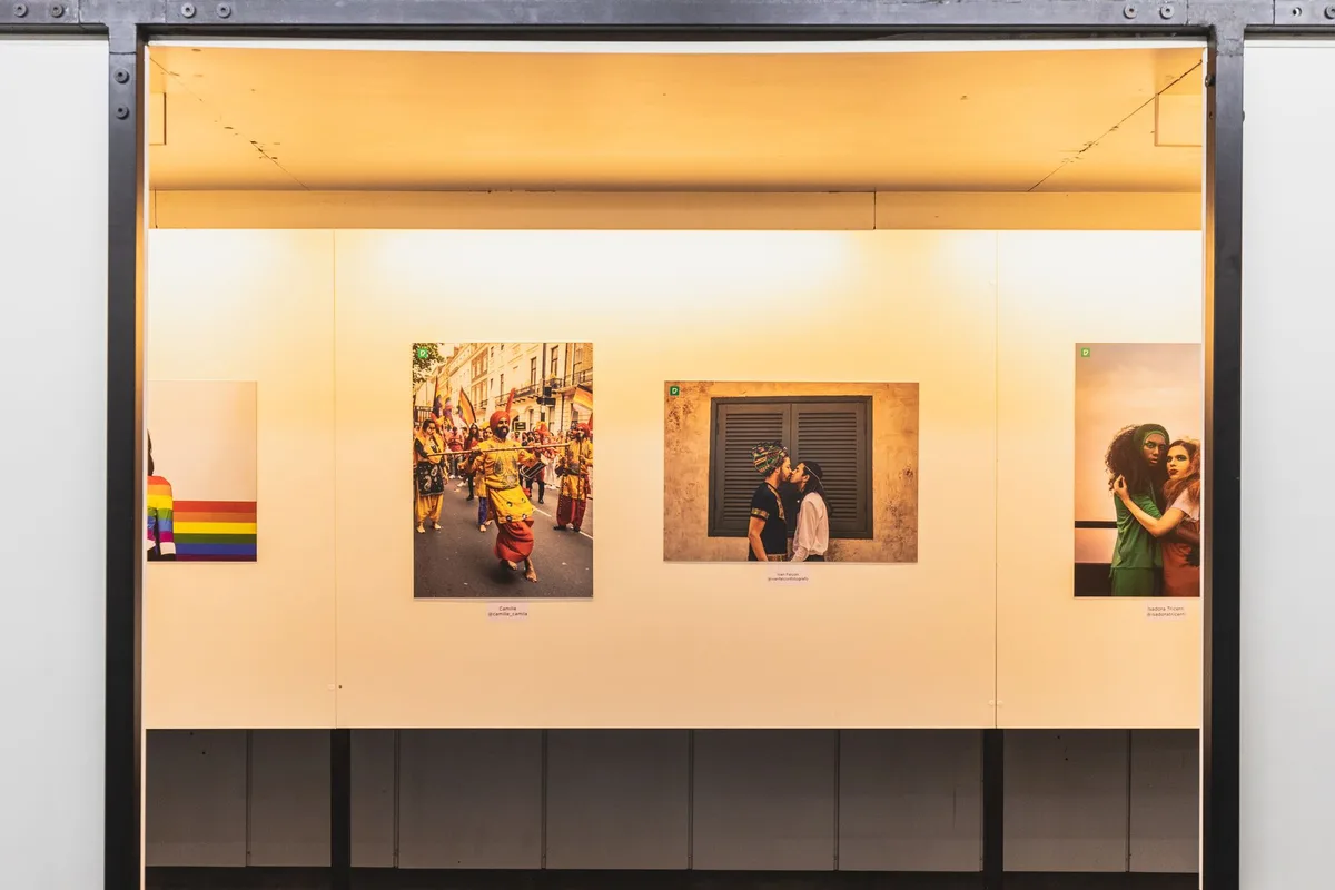 Visitantes observam fotografias de &aacute;rvores expostas numa galeria