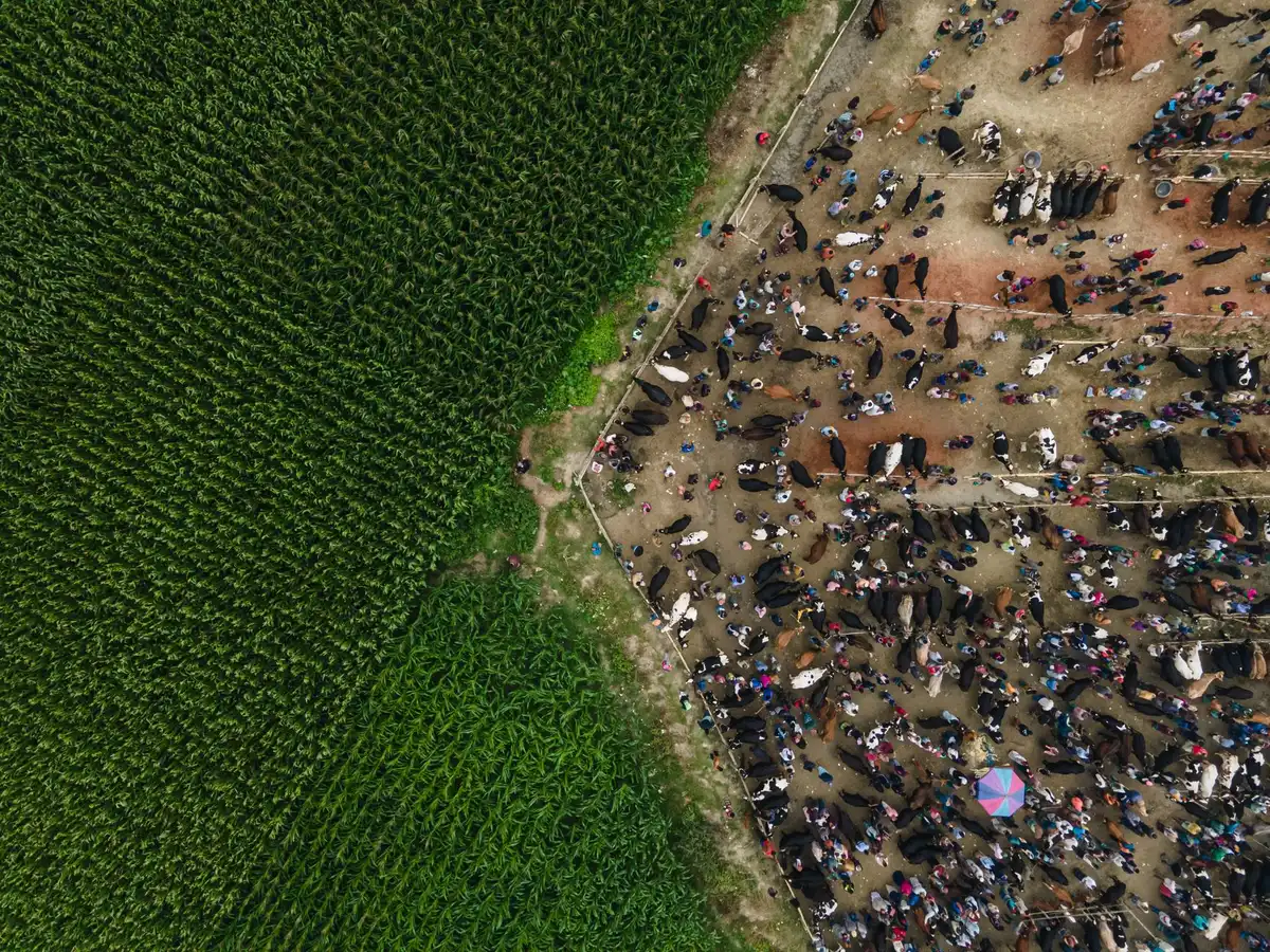 Visitantes e comerciantes numa feira rural tradicional, interagindo e realizando trocas comerciais