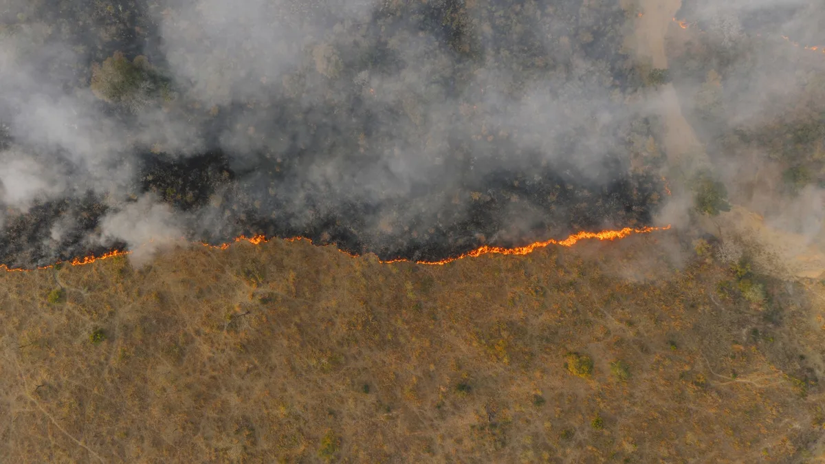 Plantação de eucalipto em encosta com fumo de incêndios florestais ao fundo