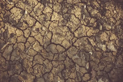 Paisagem árida com leito de rio seco e solo rachado pela seca
