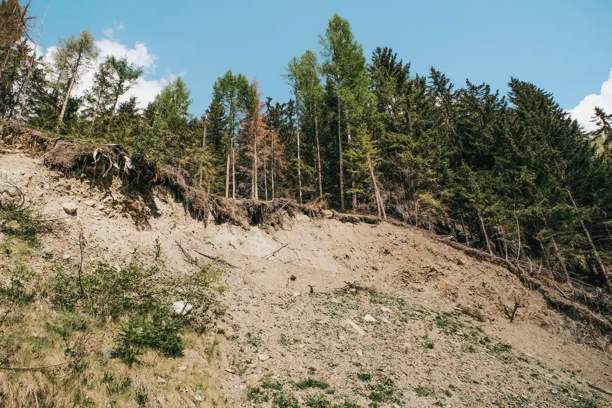 Zona de deslizamento de terras com impacto na mata e nascentes de &aacute;gua