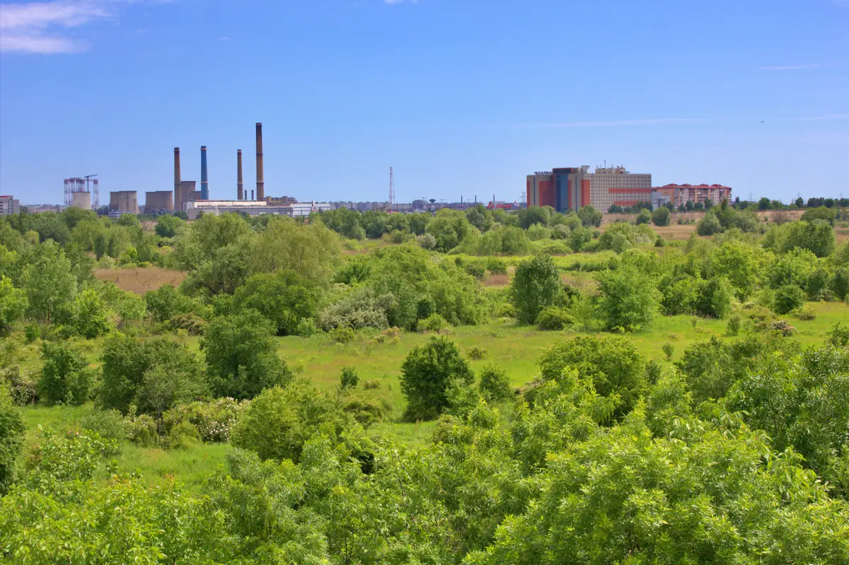 Profissional a analisar documentos de avaliação de impacte ambiental num escritório