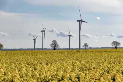 Paisagem com corredores ecológicos e turbinas eólicas ao longe, representando o equilíbrio entre proteção ambiental e en