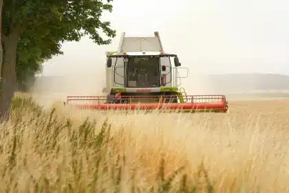 Campos rurais junto à costa com maquinaria leve ao longe e caminho rural