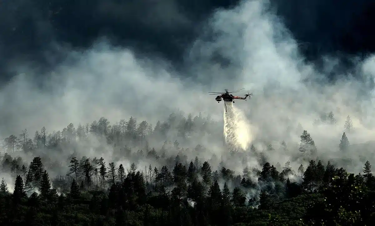 Vista aérea de incêndio florestal com equipas de combate no terreno