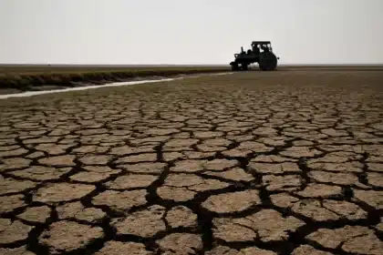 Verão seco e quente ameaça colheitas na UE: Comissão Europeia pede ação aos Estados