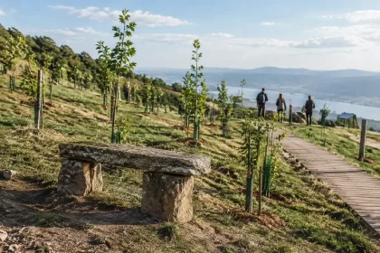 Bosque CineEco em Seia recebe 32 árvores e cria novo auditório natural
