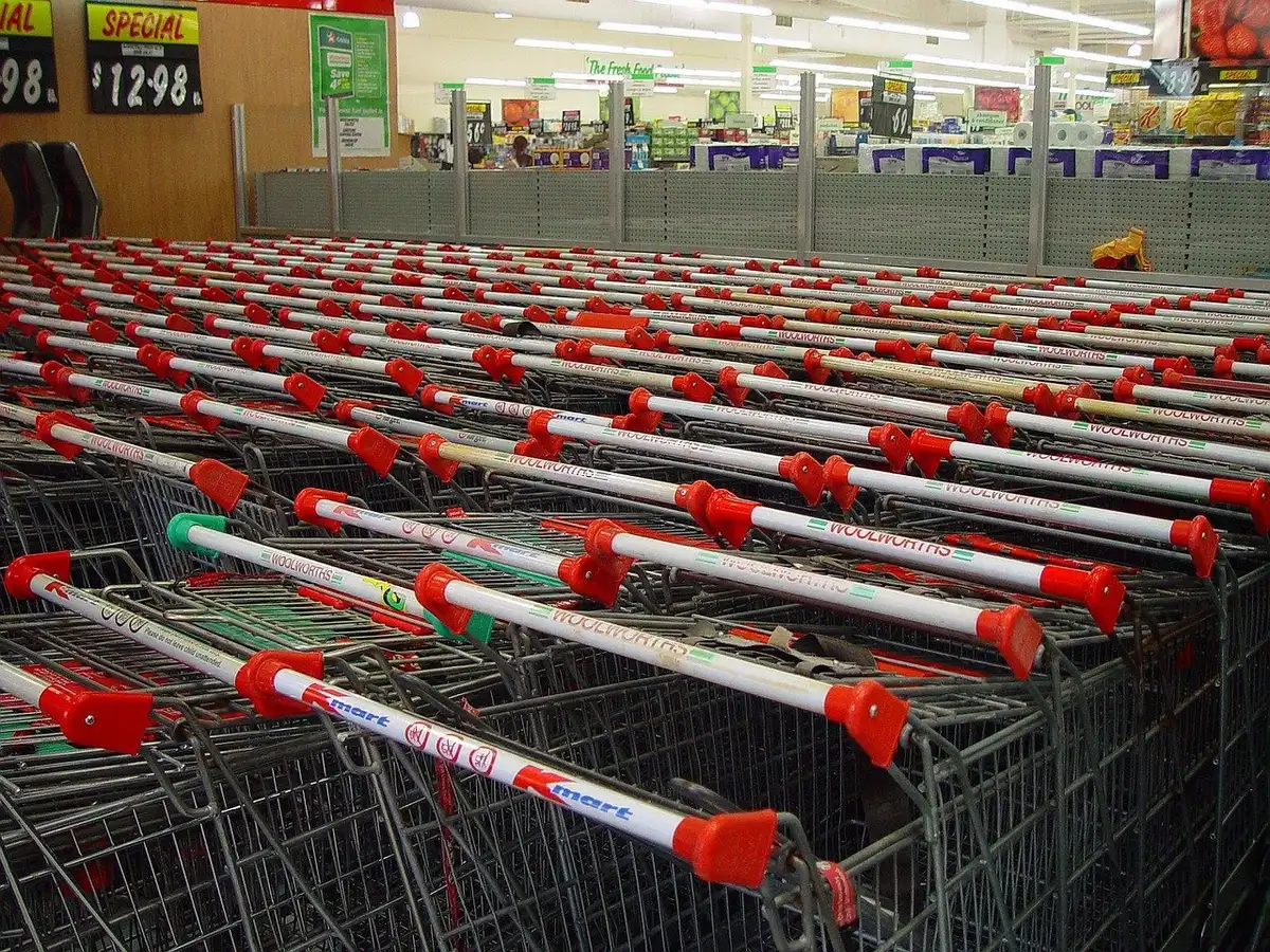 Carrinho de supermercado adaptado instalado junto a ervas marinhas como abrigo para cavalos-marinhos
